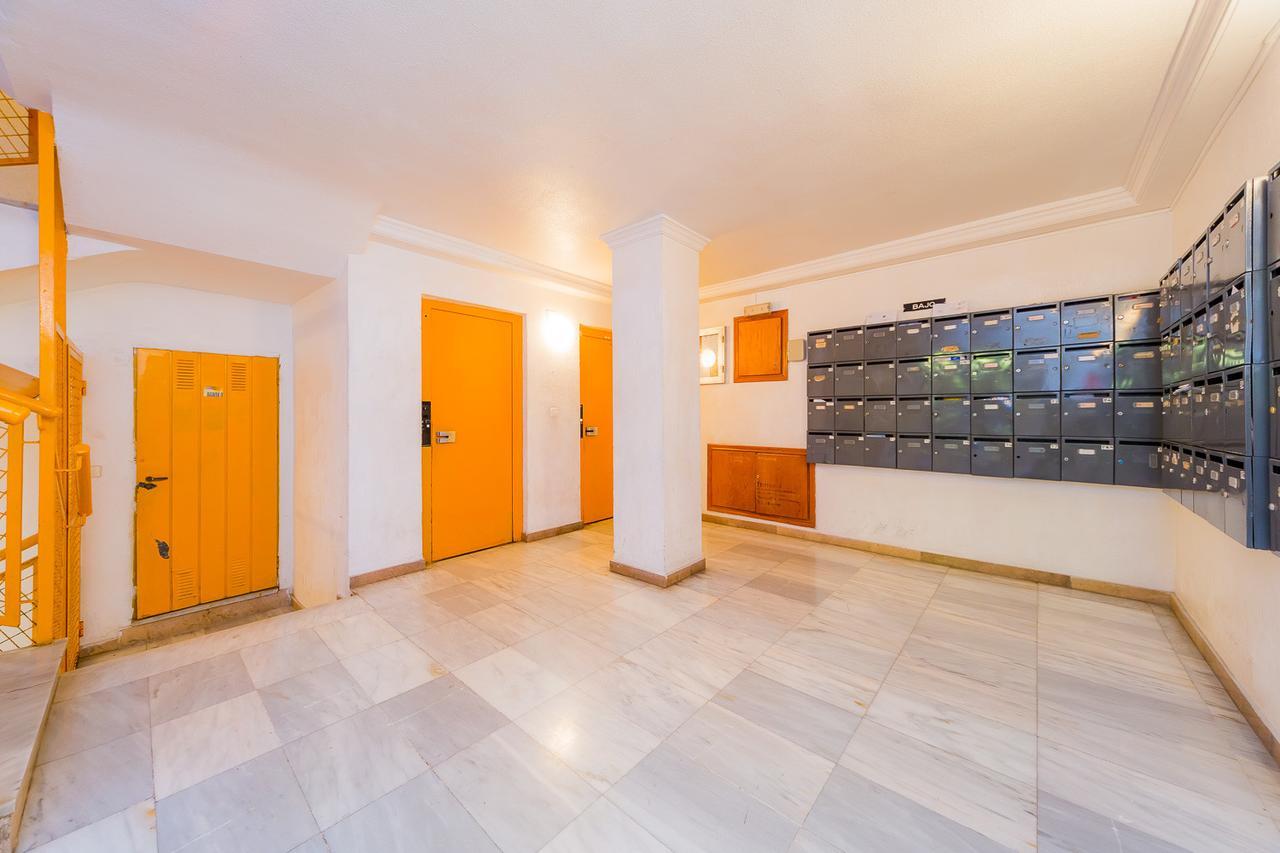 Alegria Id33 Daire Torrevieja Dış mekan fotoğraf